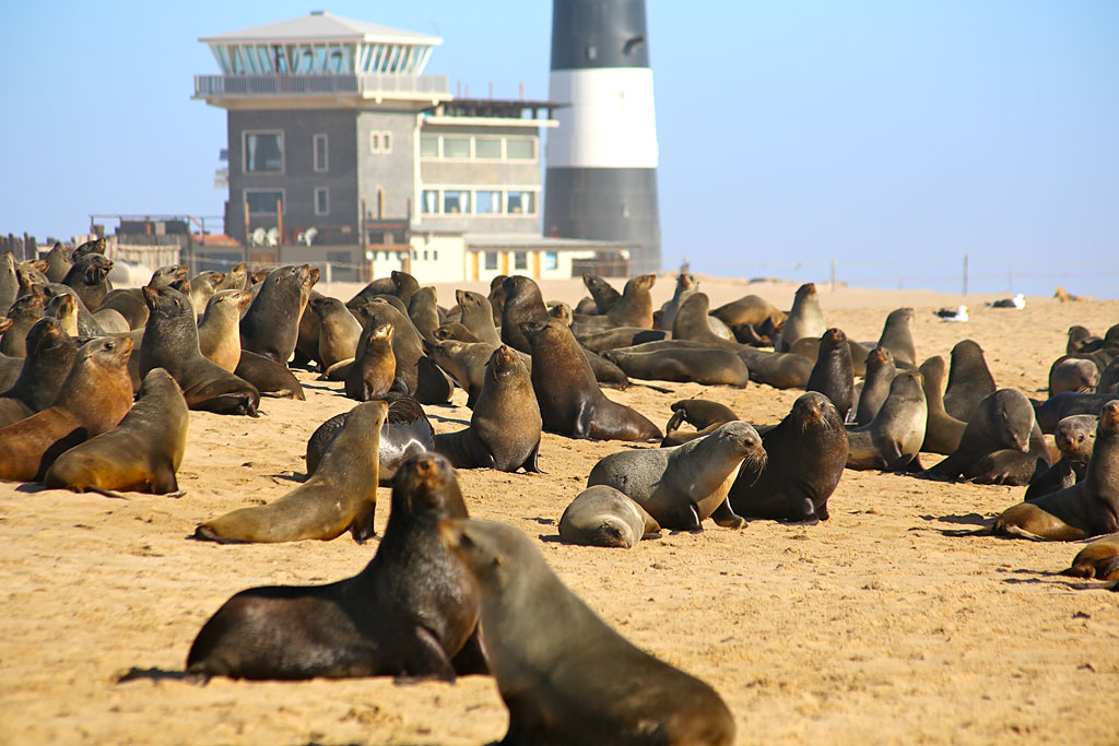 Stacks Image 991