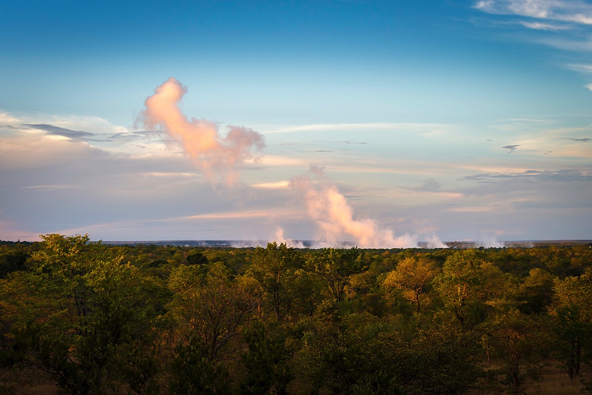 Stacks Image 580